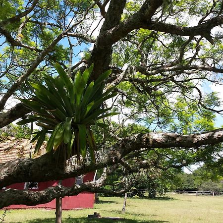 Aldeia Santuario Das Aves Tavares Phòng bức ảnh