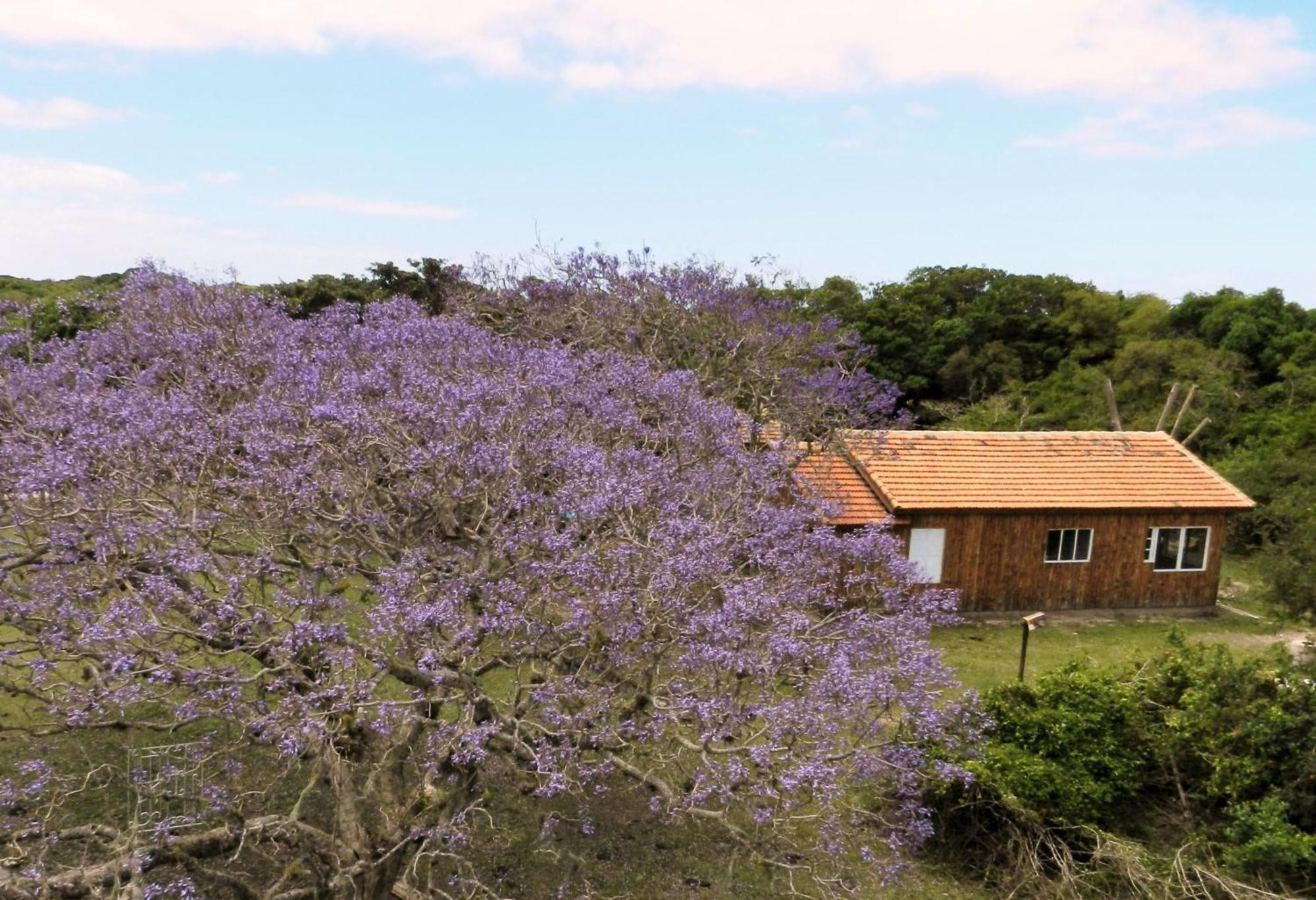 Aldeia Santuario Das Aves Tavares Phòng bức ảnh