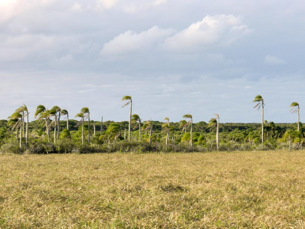 Aldeia Santuario Das Aves Tavares Ngoại thất bức ảnh