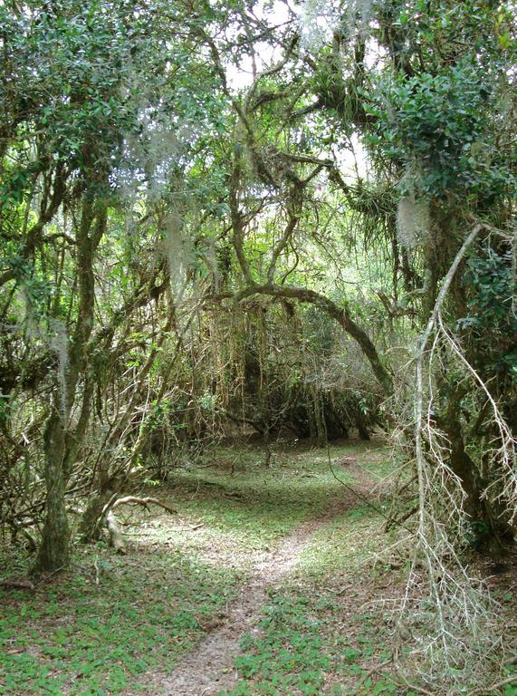 Aldeia Santuario Das Aves Tavares Ngoại thất bức ảnh